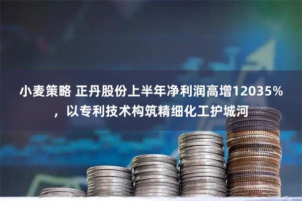 小麦策略 正丹股份上半年净利润高增12035%,以专利技术构筑精细化工护城河