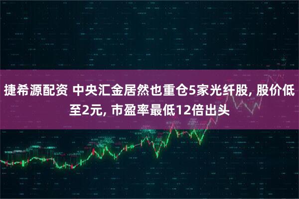 捷希源配资 中央汇金居然也重仓5家光纤股, 股价低至2元, 市盈率最低12倍出头