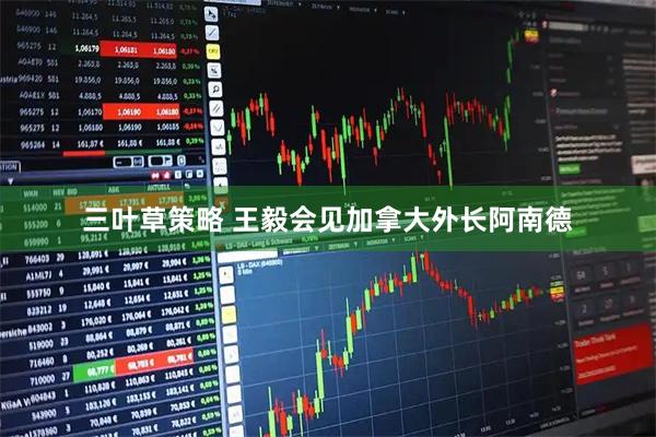 三叶草策略 王毅会见加拿大外长阿南德