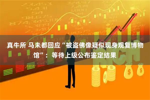 真牛所 马未都回应“被盗佛像疑似现身观复博物馆”：等待上级公布鉴定结果
