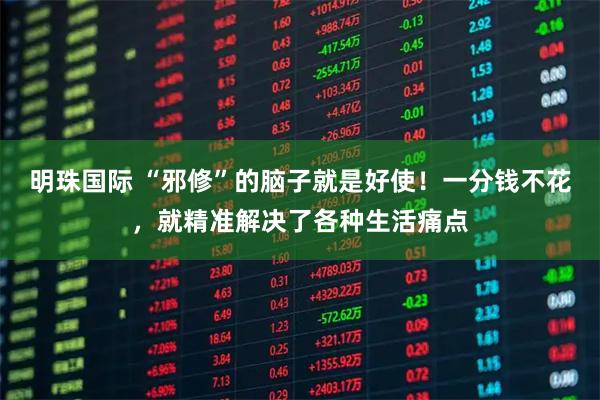 明珠国际 “邪修”的脑子就是好使！一分钱不花，就精准解决了各种生活痛点