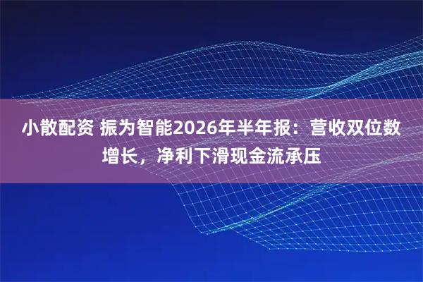 小散配资 振为智能2026年半年报：营收双位数增长，净利下滑现金流承压